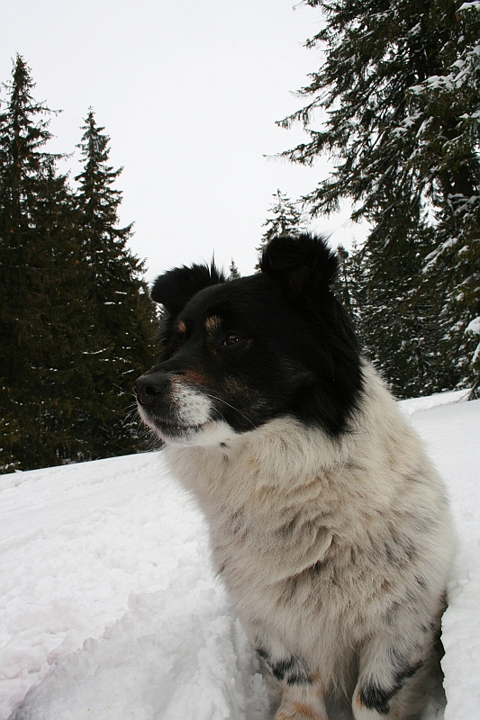 Turbacz 22.03.08 076